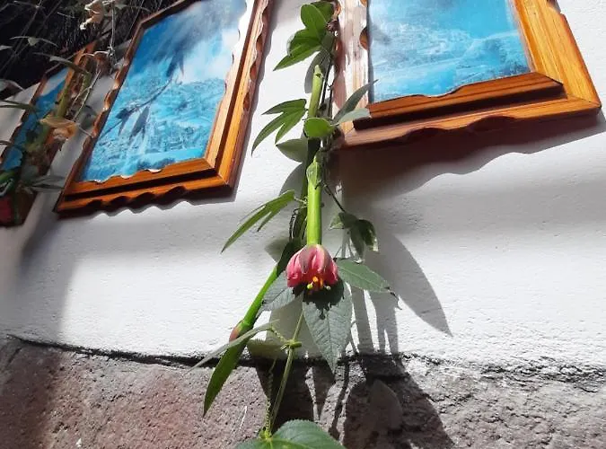 Affittacamere La Casa De Laura - Plaza 4*