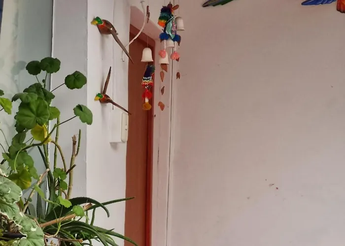 Affittacamere La Casa De Laura - Plaza