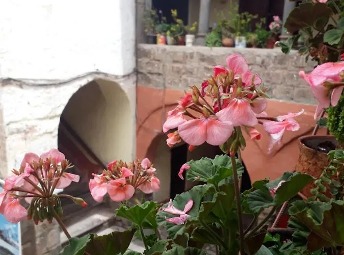 La Casa De Laura - Plaza